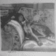 Dog on sofa