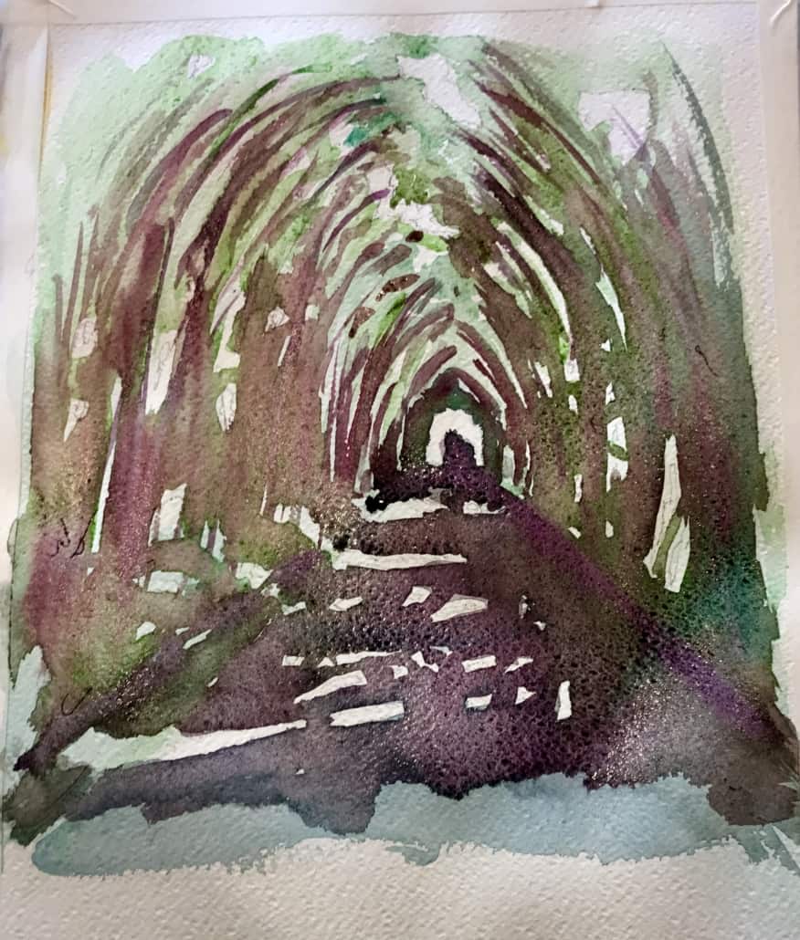 Tunnel of trees, North Somerset